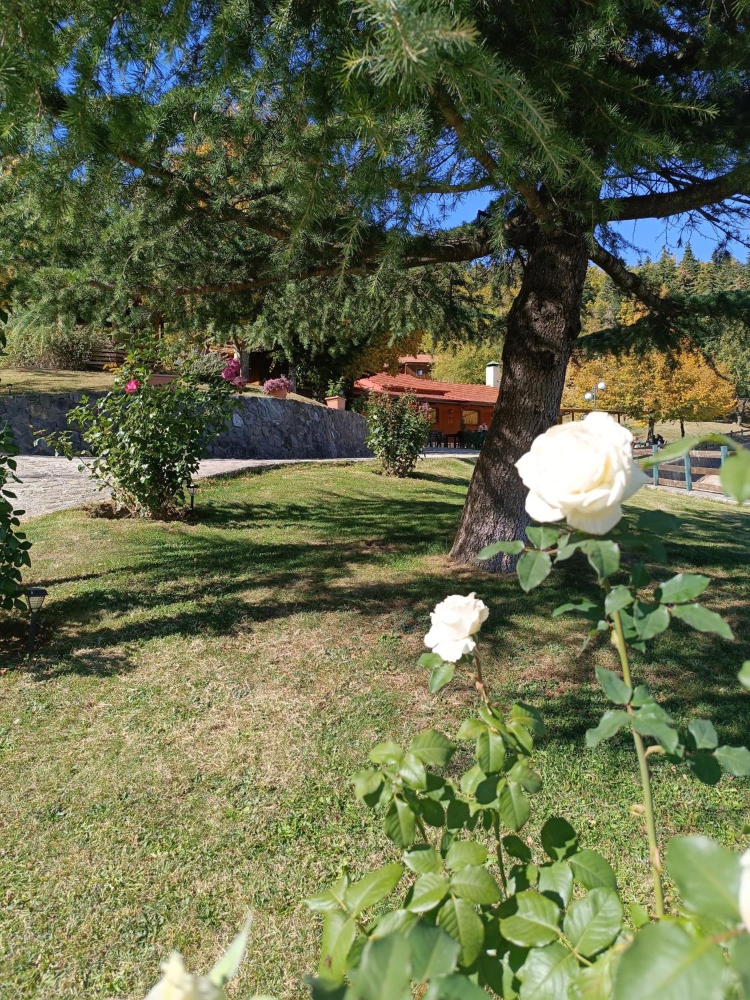 Livadaki Village Megali Kapsi Eksteriør bilde