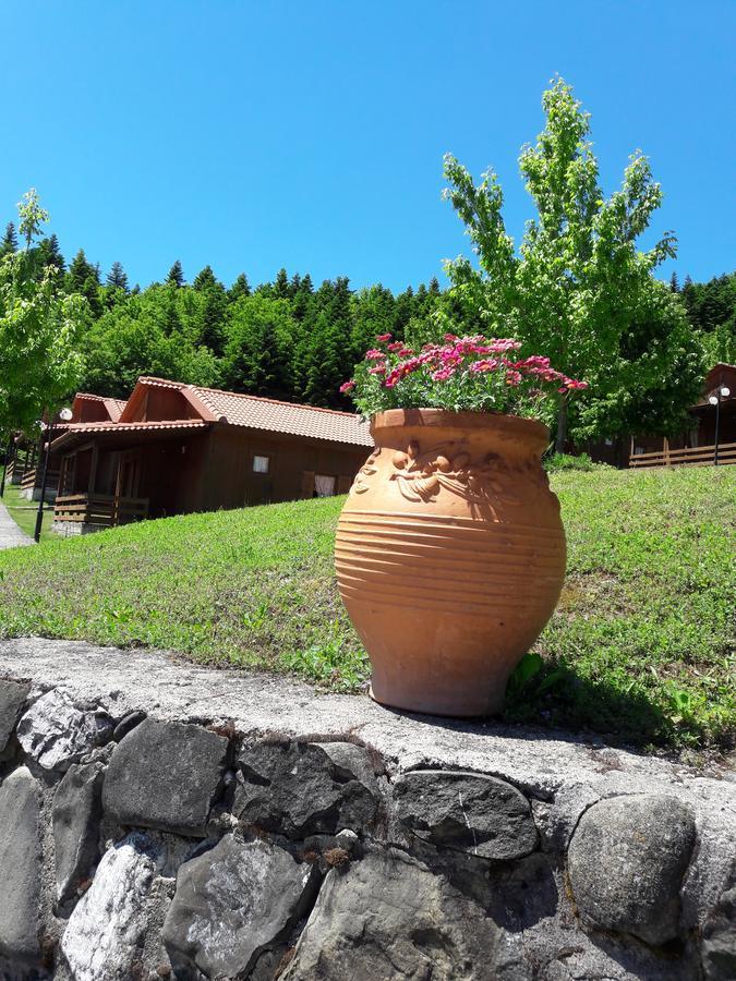 Livadaki Village Megali Kapsi Eksteriør bilde